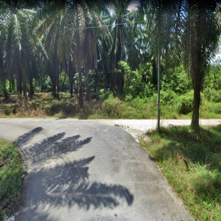 Screenshot 2024 08 02 at 3.16.19 PM 768x768